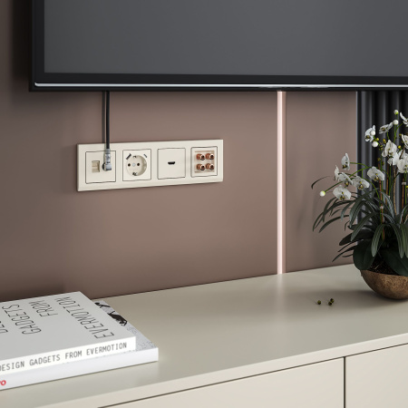 Розетка ТВ+Ethernet RJ-45 6 cat.(слоновая кость) СУ IP20 Werkel