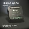 Умное одноканальное реле 2300Вт черный IP20 (a059324) Elektrostandard