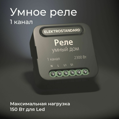 Умное одноканальное реле 2300Вт черный IP20 (a059324) Elektrostandard