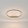Потолочный светильник 1*LED 50Вт Латунь IP20 Rim MOD058CL-L50BS3K Maytoni