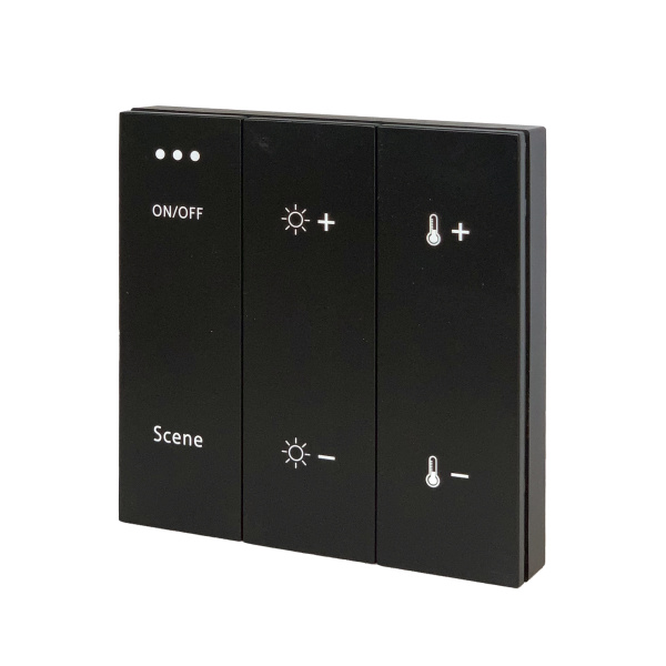 Панель управления трековой системой SKYLINE 220 Черный ST015.400.99 ST LUCE