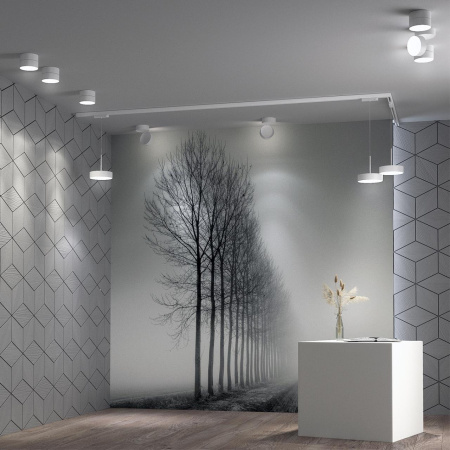 Св-к трековый,провод 1.2м IP20 LED 30W 4000K 2600Лм 100-265V белый PROMETA NOVOTECH