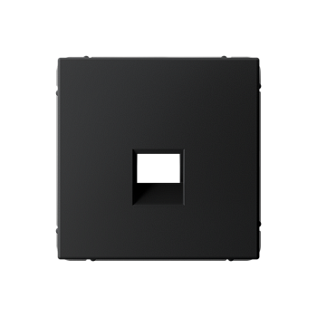 ARTGALLERY НАКЛАДКА для информационных функций типа Keystone, КАРБОН Systeme Electric