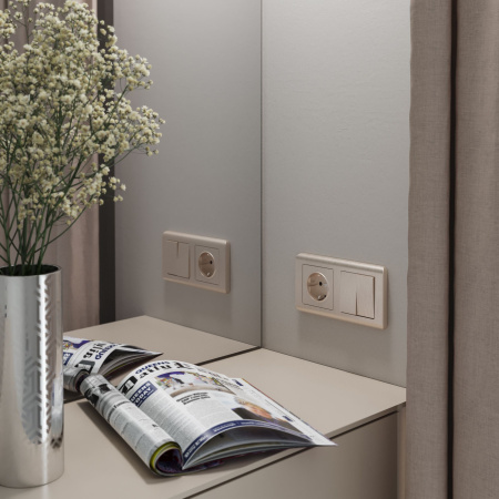 Розетка с заземлением и шторками (шампань рифленый) СУ IP31 Werkel