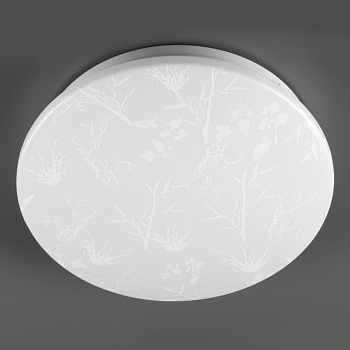 Светильник потолочный с/д GSMCL-020-24 Plant 24Вт 6500K 1560Лм 300*325x60мм без пульта (800261) (1/12) General