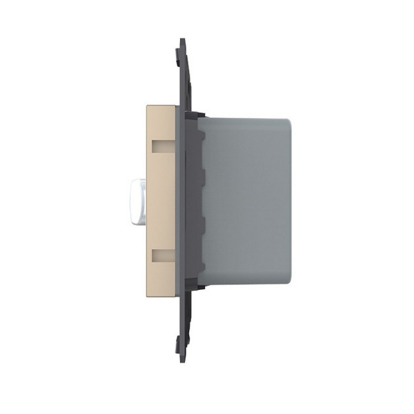 Датчик движения с сенсорным выключателем, цвет золотой (механизм) Livolo