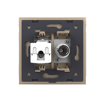 Розетка ТВ/КОМП RJ-45 Золотая Livolo