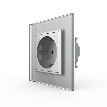 Розетка 1 модуль Серая Livolo