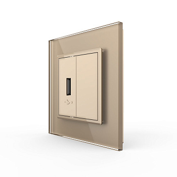 Розетка USB с блоком 5В 2.1А Золотая Livolo