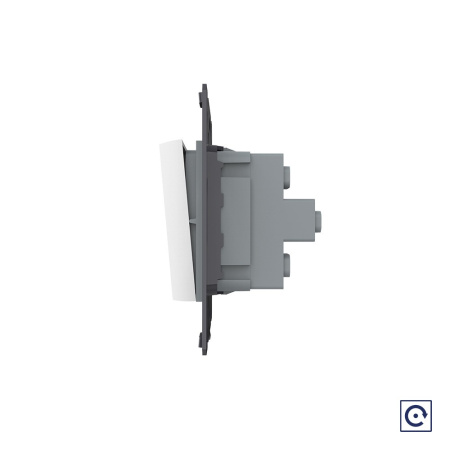 Двухклавишная механическая кнопка (звонок), цвет белый (механизм) Livolo