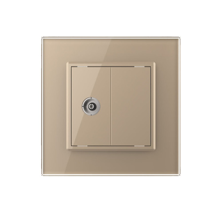 Розетка ТВ Золотая Livolo