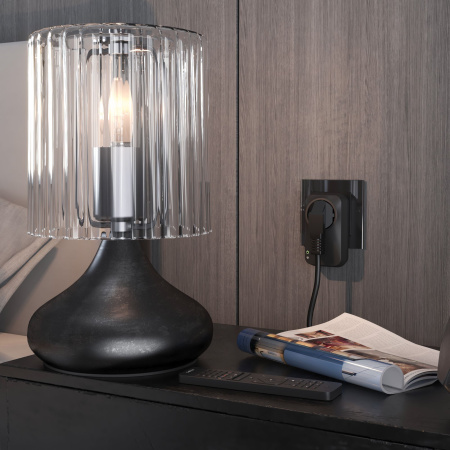 Умная розетка черный матовый IP20 (a054336) Elektrostandard