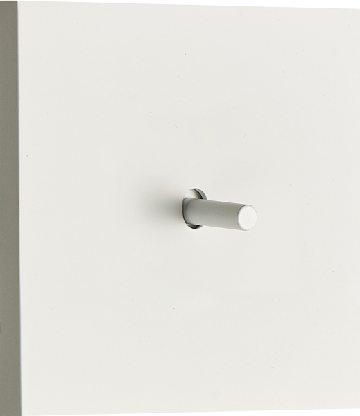 Donel N96 выключателя звонкового типа на 1 тумблер, Цилиндр, 10AX 250V, Белый, серия DT