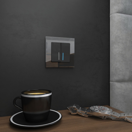 Favorit Рамка горизонт/вертик 1 пост . черный/стекло IP20 Werkel