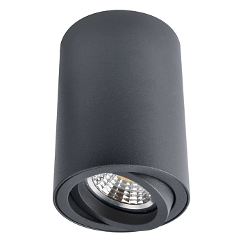 Светильник накладной точечный GU10  50Вт 220В черный Arte Lamp SENTRY