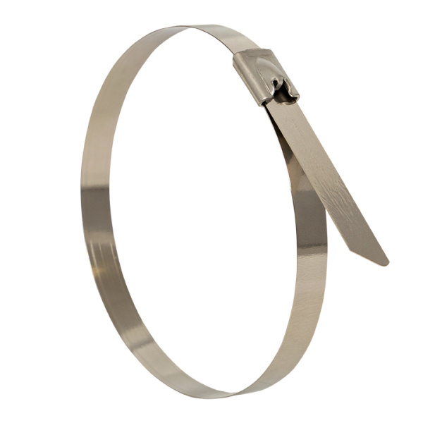 Хомут AISI 304 из нержавеющей стали, 4,6x200 (100 шт) FlexLock PROxima EKF