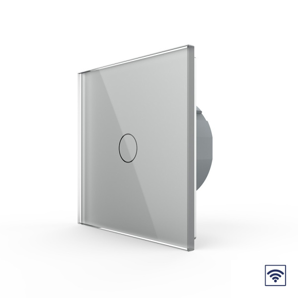 Сенсорный радиоуправляемый выключатель 1 клавиша 1 пост Серый Livolo