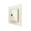 Розетка телевизионная одинарная 1 пост, цвет жемчужный Livolo