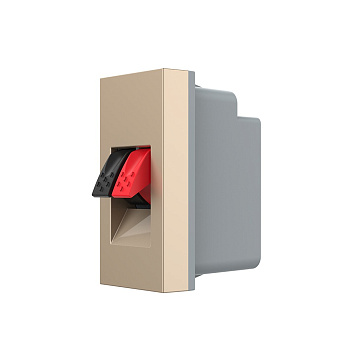 Розетка акустическая на зажимах, цвет золотой (механизм) Livolo