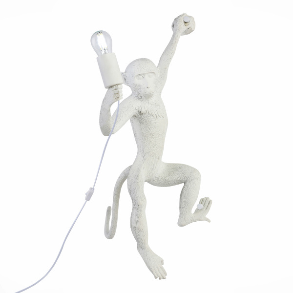 Светильник настенный Белый E27 1*60Вт SLE115111-01 EVOLUCE