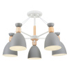 Потолочный светильник 5*E27 60Вт Белый IP20 Delia FR5033CL-05W Freya