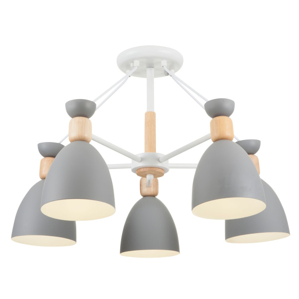 Потолочный светильник 5*E27 60Вт Белый IP20 Delia FR5033CL-05W Freya