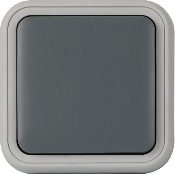 Donel W55 Рамка с клавишей для скрытой установки переключателя одиночный, серый, IP55, серия (тип) DIP55