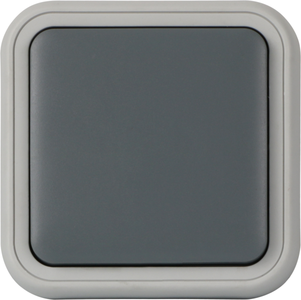 Donel W55 Рамка с клавишей для скрытой установки переключателя одиночный, серый, IP55, серия (тип) DIP55