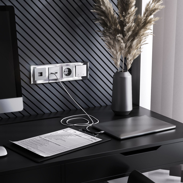 Телефонная розетка RJ-11 (серебряный) СУ IP20 Werkel