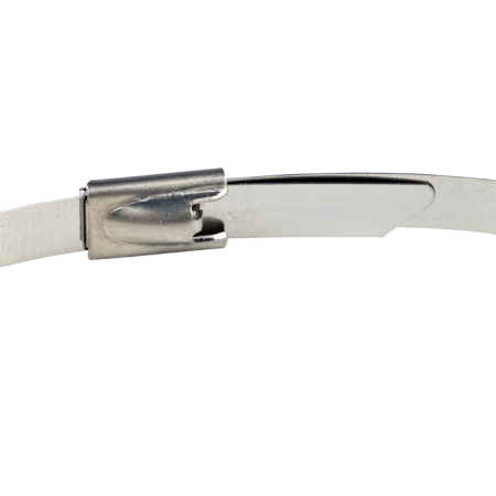 Хомут AISI 304 из нержавеющей стали, 4,6x260 (100 шт) FlexLock PROxima EKF