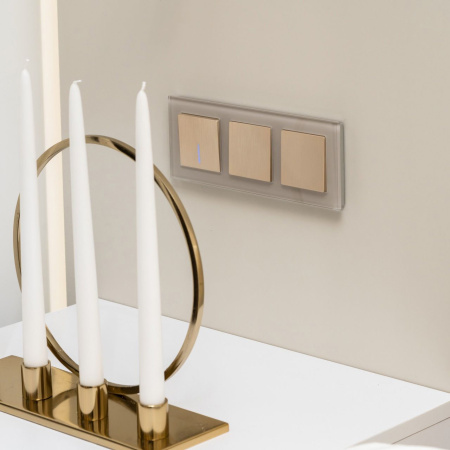 Выключатель одноклавишный с подсветкой (шампань рифленый) СУ IP20 Werkel