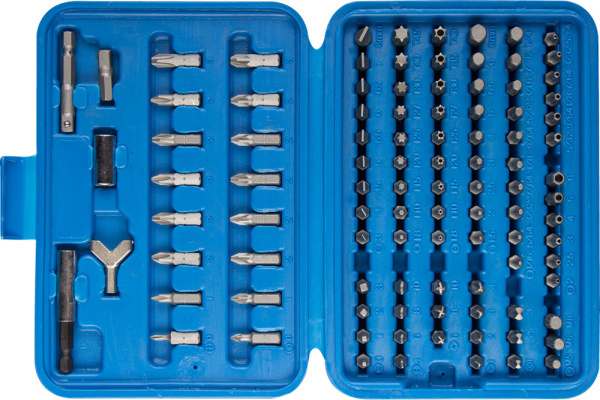 Набор : Биты УНИВЕРСАЛ, Cr-Mo, 100 предметов, в боксе ЗУБР