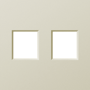 Donel A07 шампань накладка 2-я для розеток RJ45,TV,SAT, серия DB