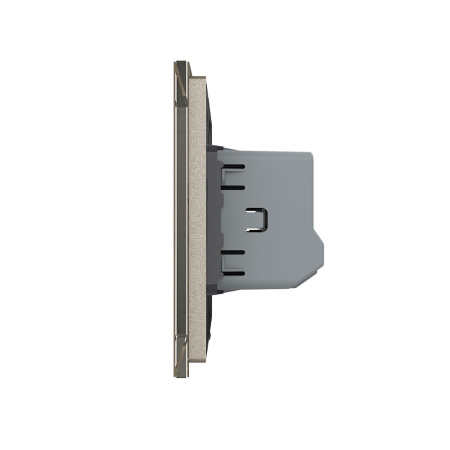 Двухклавишный сенсорный выключатель 1 пост, цвет шампань Livolo