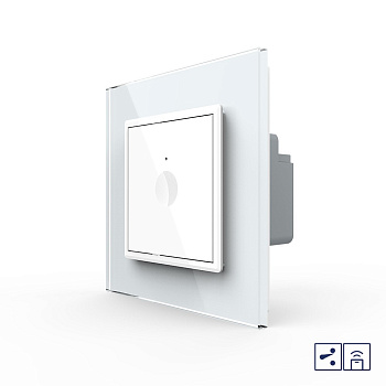 Одноклавишный проходной сенсорный выключатель Module с функцией радиоуправления, цвет белый Livolo