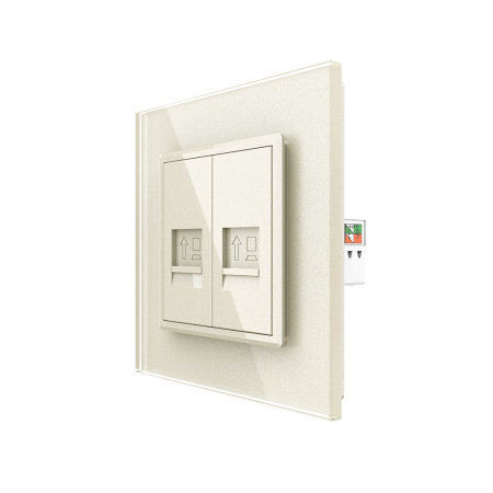 Розетка интернет двойная RJ-45 кат.6 1 пост, цвет жемчужный Livolo