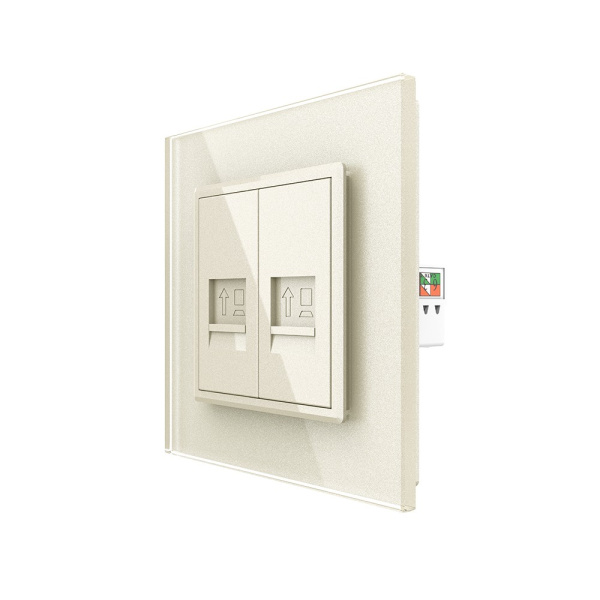 Розетка интернет двойная RJ-45 кат.6 1 пост, цвет жемчужный Livolo