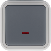 Donel W55 Переключатель 1-кл. накладной с подсветкой, серый, IP55, серия (тип) DIP55