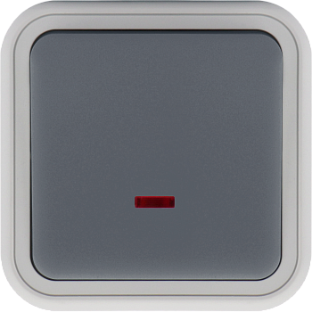 Donel W55 Переключатель 1-кл. накладной с подсветкой, серый, IP55, серия (тип) DIP55