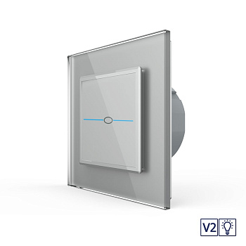 Сенсорный диммер Quadro версия 2, 1 клавиша 1 пост Серый Livolo