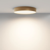 Потолочный светильник LED 45Вт Матовое Золото IP20 Ceiling & Wall C032CL-45W3K-RD-MG Technical Maytoni