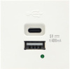 Donel USB зарядное устройство, 4.2A, Type A + C, 2 мод., бел. (45х45мм)