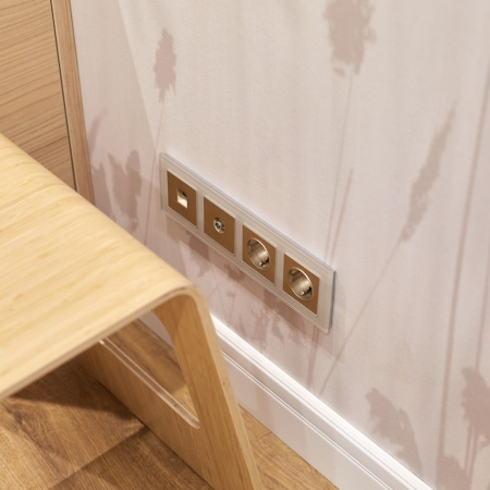 Розетка Ethernet RJ-45 (шампань рифленый) СУ IP20 Werkel