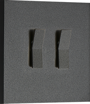 Donel N96 Переключатель на 2 тумблера, клавиша Angle, 10AX 250V, Черный, серия DT