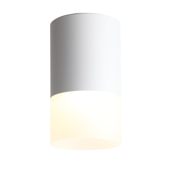 Светильник потолочный Белый LED 1*5Вт 4000К 390Lm Ra>80 120° D64xH110 170-240В ST100.542.05 ST LUCE