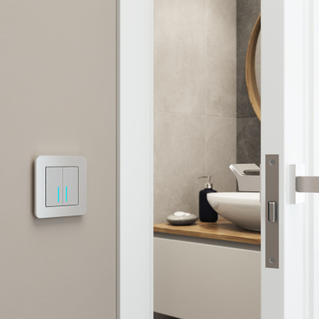 Platinum Рамка на 1 пост алюминий Werkel