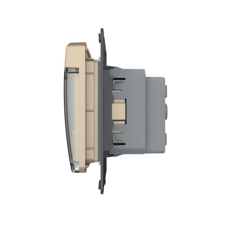 Розетка с заземлением защитными шторками водонепроницаемой крышкой золотая (механизм) Livolo