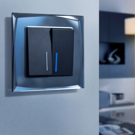 Diamant Рамка горизонт/вертик 1 пост . Черный IP20 Werkel