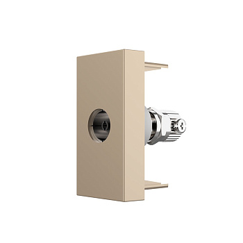 ТВ-розетка золотая (механизм) Livolo