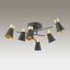 Люстра потолочная E14 6*40W 220V LIAM матовый черный,золотой LUMION